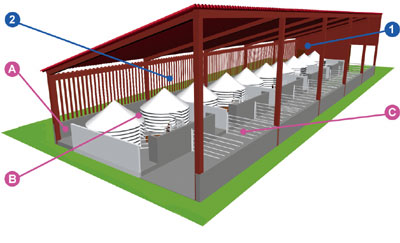 Schéma de l'installation Technimat pour le naissage des porcs en bâtiment de l'élevage respectueux.
