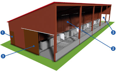 Schéma de l'installation Technimat pour l'engraissement des porcs en bâtiment de l'élevage respectueux.