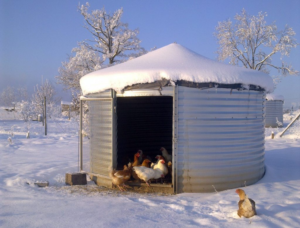 Les poules et volailles ont besoin d'un poulailler adapté à leurs besoins.