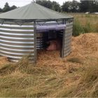 C55-115 Maternité porcs