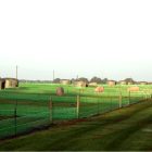 C55-115 Maternité porcs