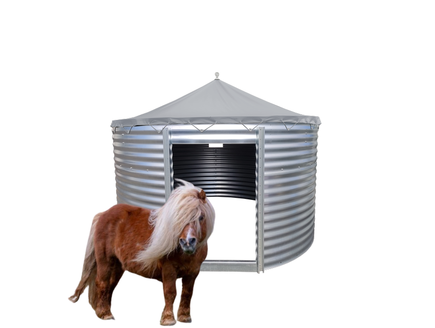 C85-165_poneys C85-165 poneys